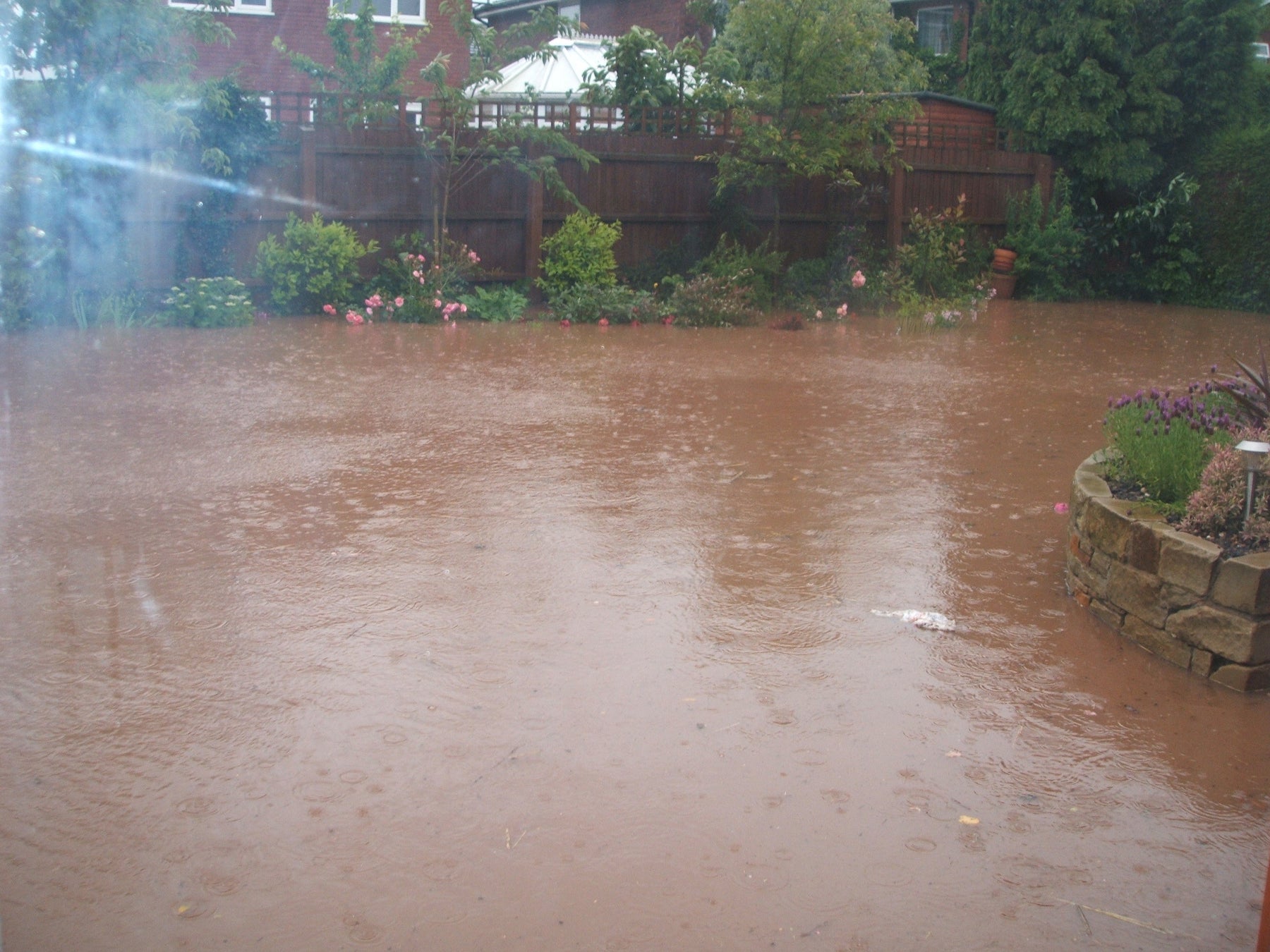 Flooded garden
