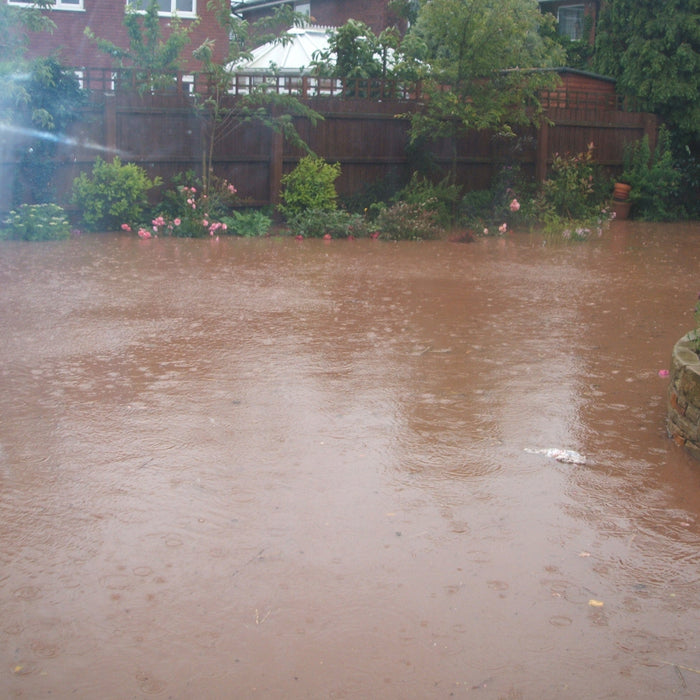 Flooded garden