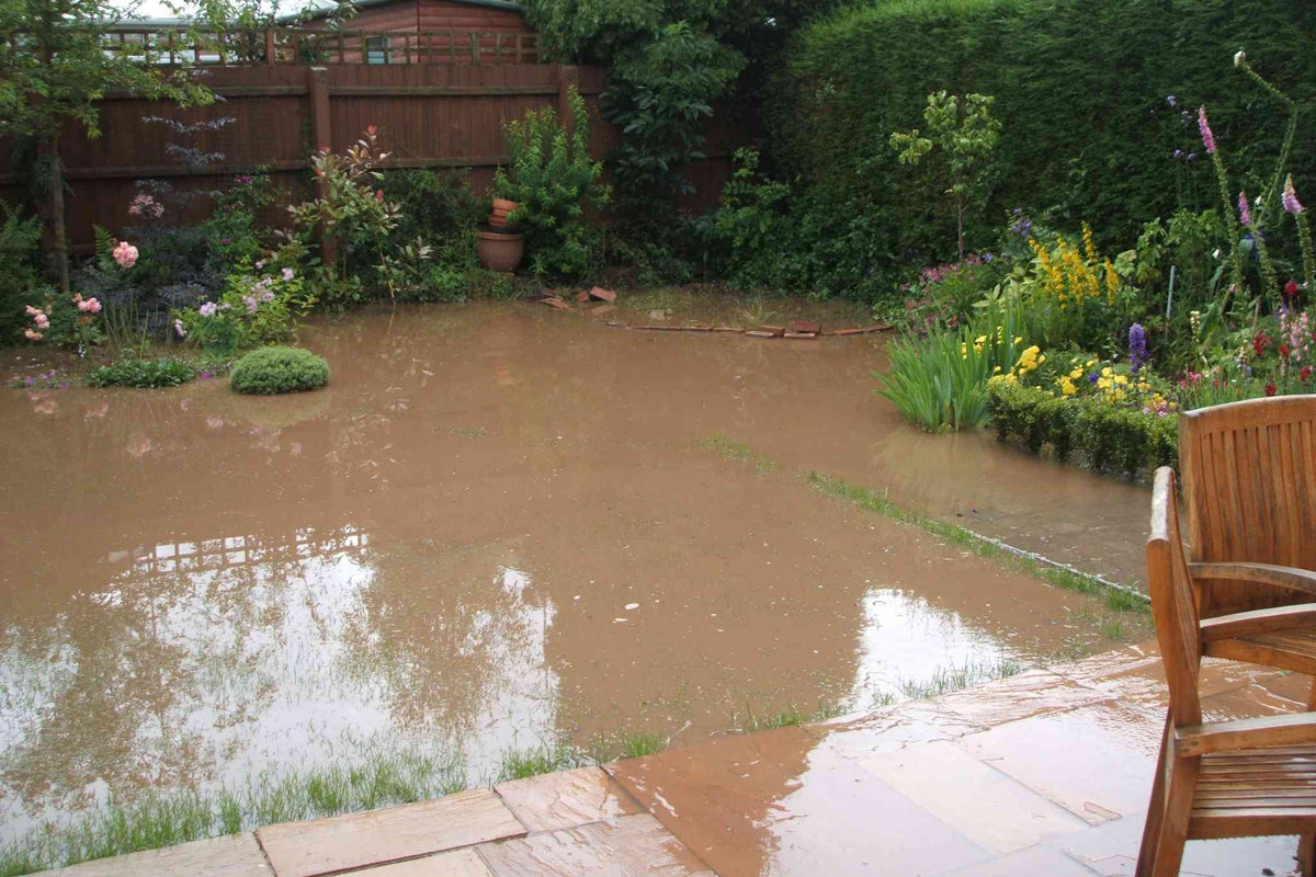garden flooded with brown water