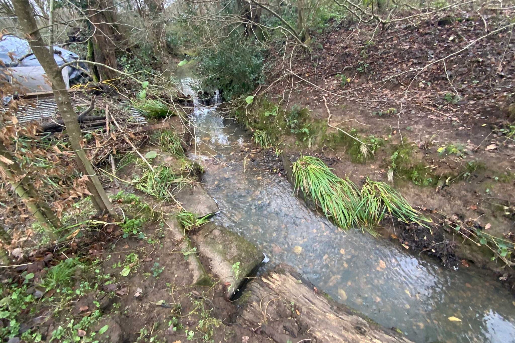 Image showing river and river banks