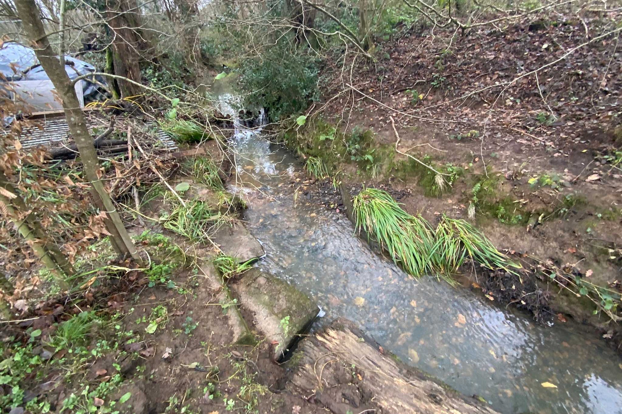 Image showing river and river banks