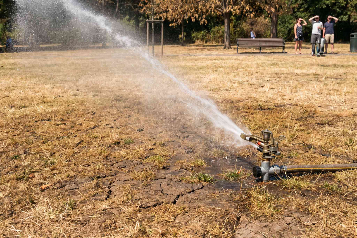Sprinkler powered by water pump for irrigation
