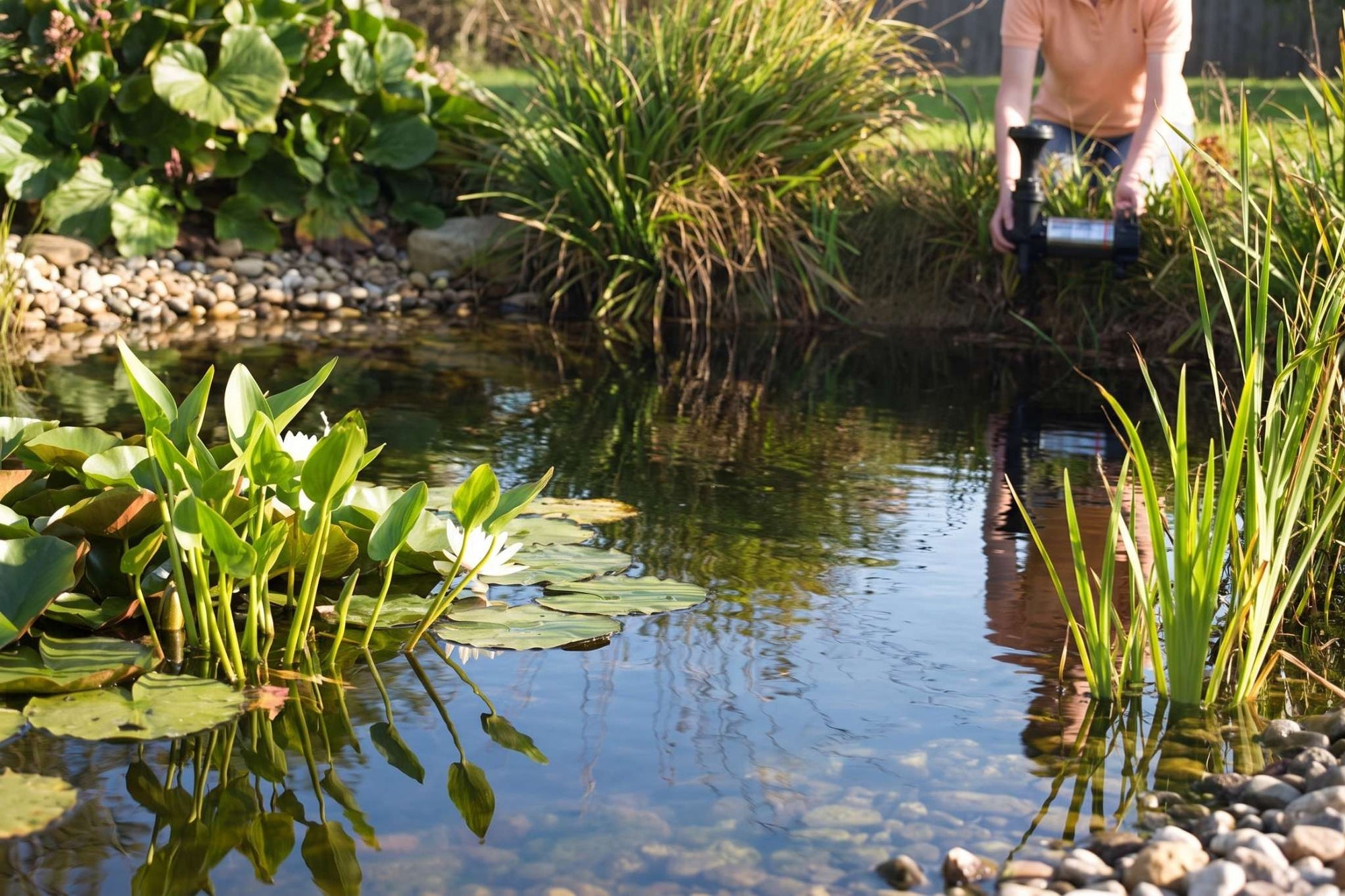APP MH Water Pump being placed into a pond