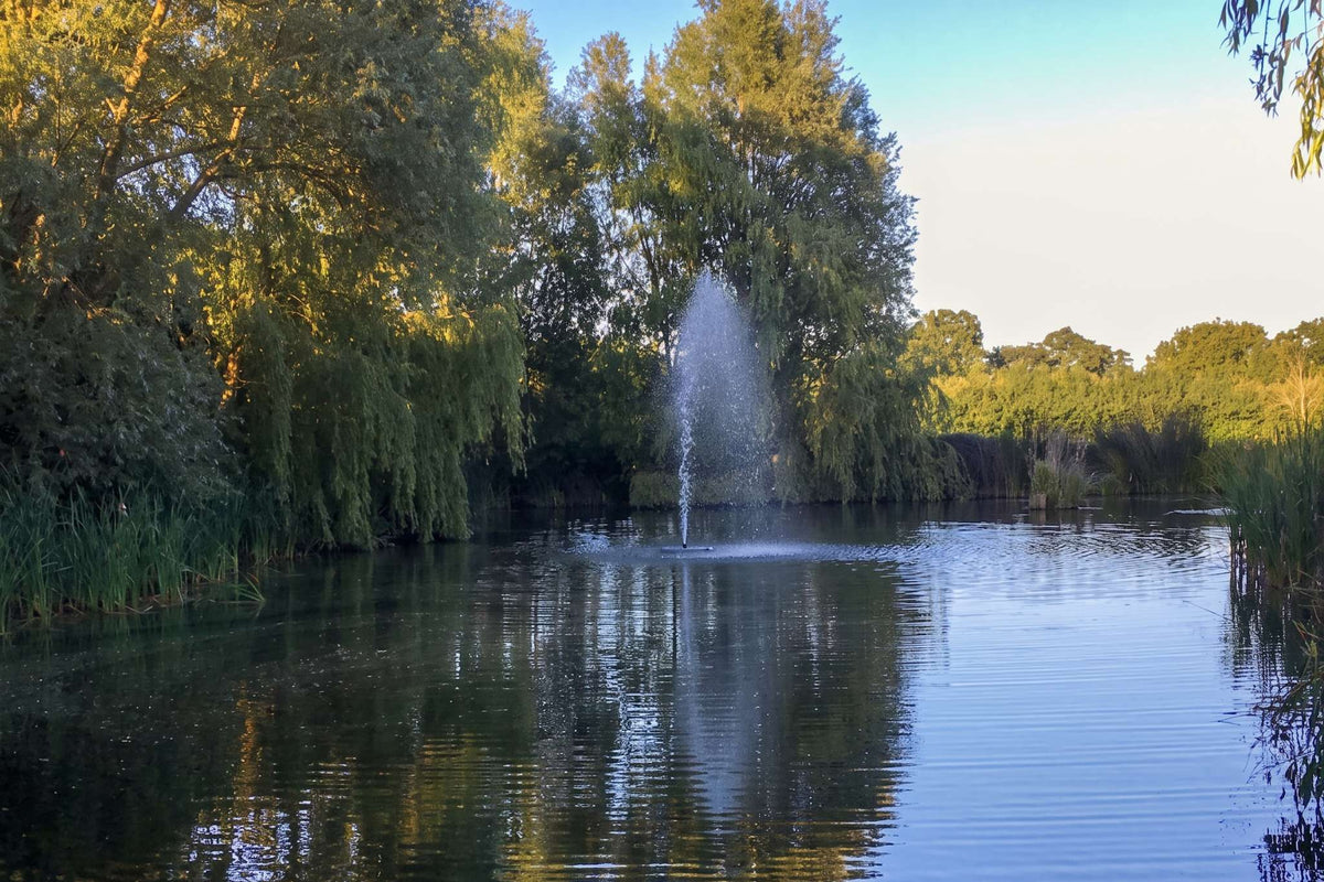 APP Floating Tree Fountain pump in action creating a display in a lake