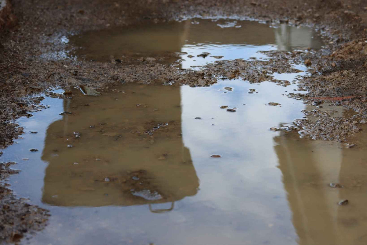 Flood Pump Kit vs Pump Only: What Do You Actually Need for Flooding?