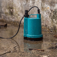 APP BPS manual puddle pump in chamber with low level water