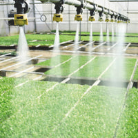 Sprinklers watering plants in a greenhouse setting