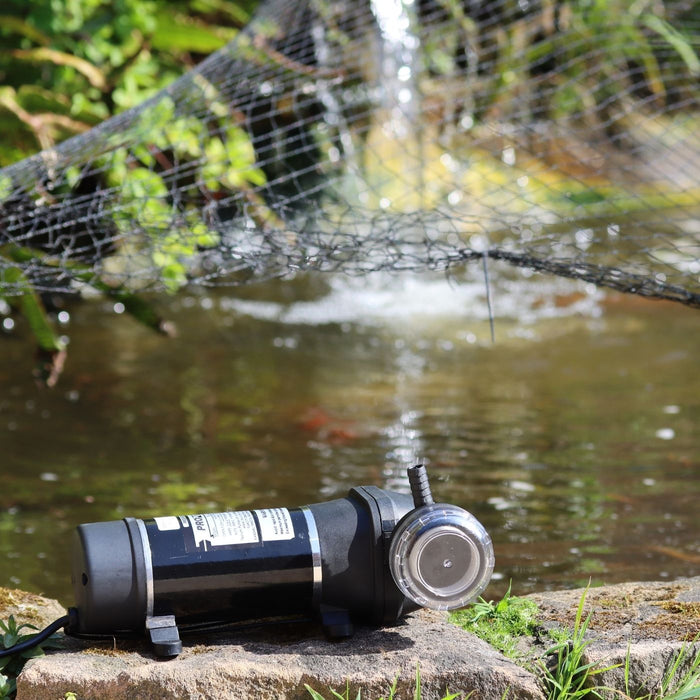 FL Demand water pump on a stone ledge with a pond and water features in the background