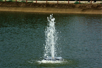 Floating Tree water fountain in a lake