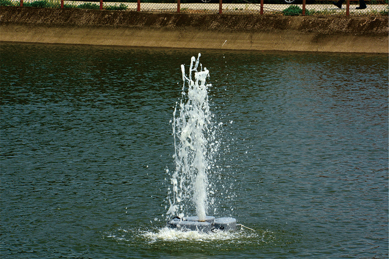 APP - Floating Tree Pond and Water Feature Pump alternate view