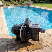 LA Sta-Rite Swimming Pool Pump pictured with swimming pool behind