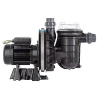Pentair La Sta-Rite 5P2R swimming pool pump 
