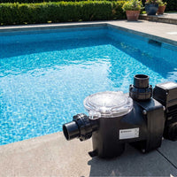 Pentair Freeflo Pool Pump by swimming pool