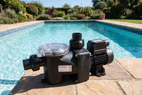 Pentair freeflo pool pump by outdoor pool