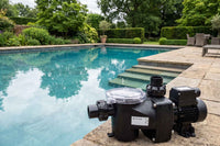 A black pool pump and motor unit with a clear lid sits on the stone edge of an outdoor swimming pool, with garden hedges and trees in the background.