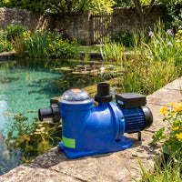 Plastica AG Pool Pump with natural swimming pond