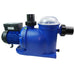 Plastica AG Series Swimming Pool Pump on white background