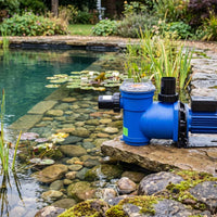 A blue and black pool pump positioned on a stone ledge next to a clear-water garden pond with lily pads and rocks.