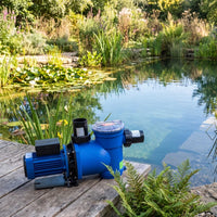 Plastica Pool Pump pictured by a natural swimming pool