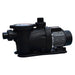Plastica IFlo Swimming Pool Pump