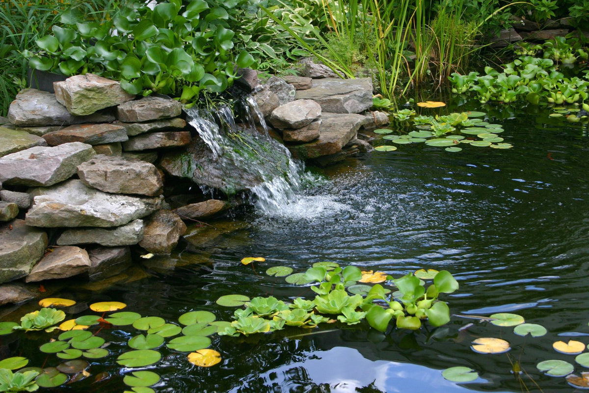 How Pond Pumps Differ from Standard Submersible Pumps