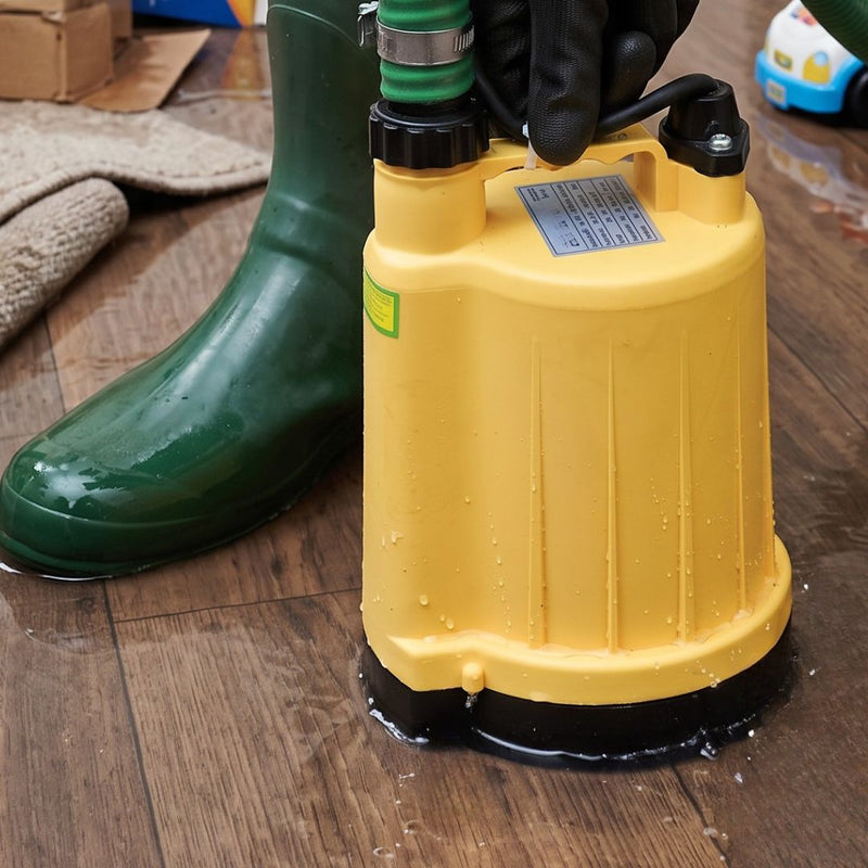 Small Flood Pump Kit | SPP2 Puddle Pump alternate view