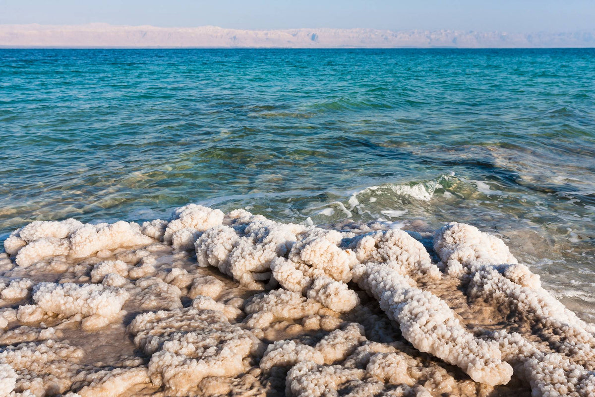 Why Standard Pumps Fail in Salt Water