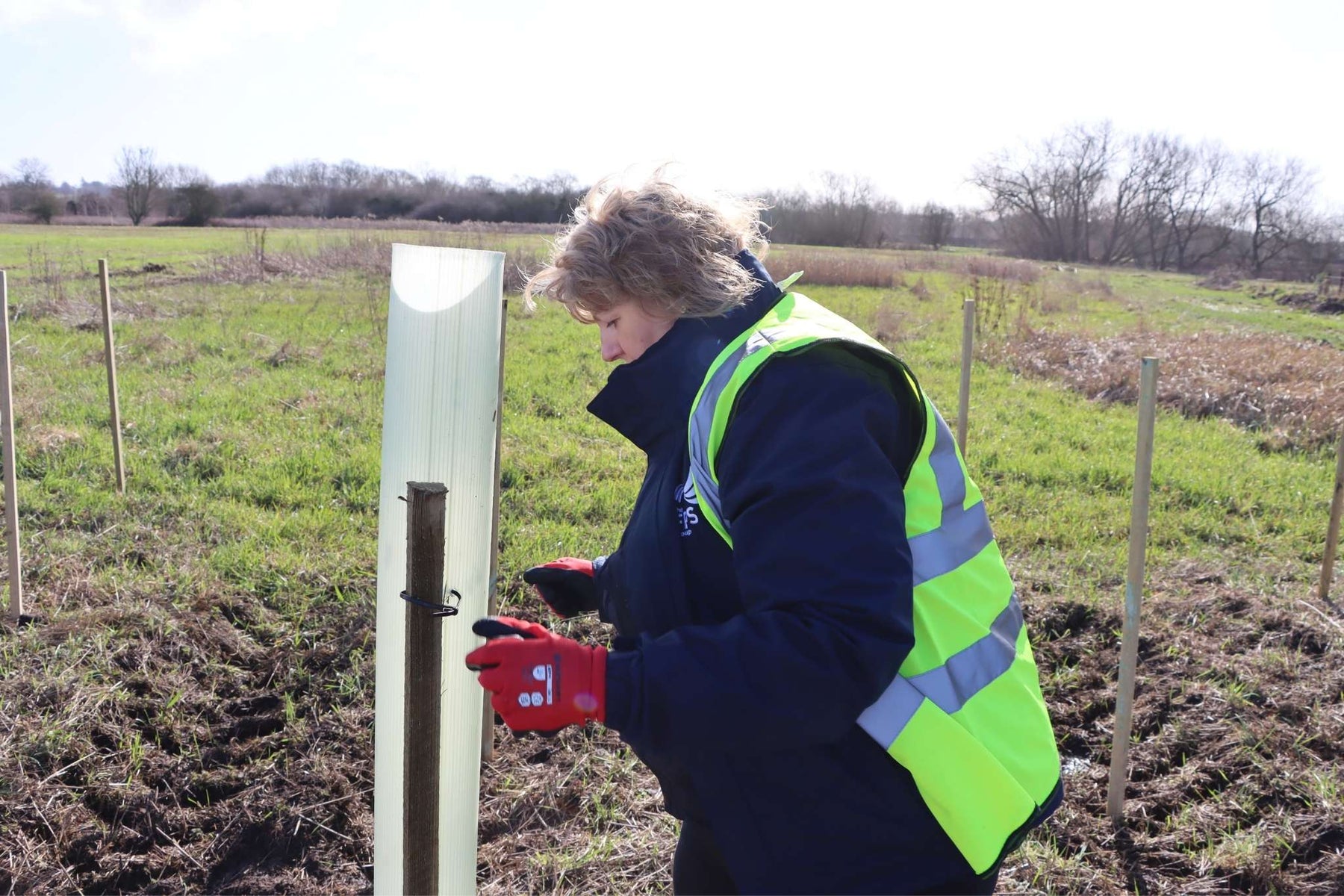 flood and water pumps employee planting tree for scheme