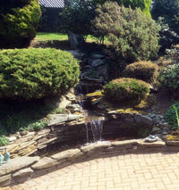 waterfal style pond